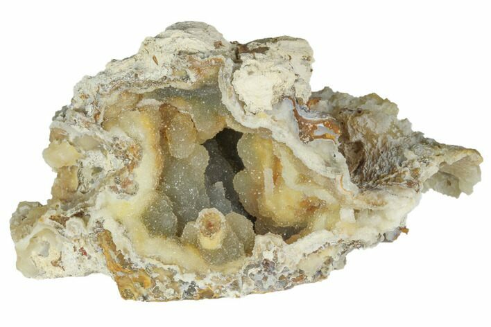 Agatized Fossil Coral With Druzy Quartz - Florida #188016